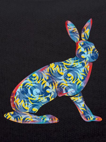 Hase