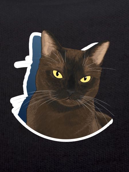 Chat burmese