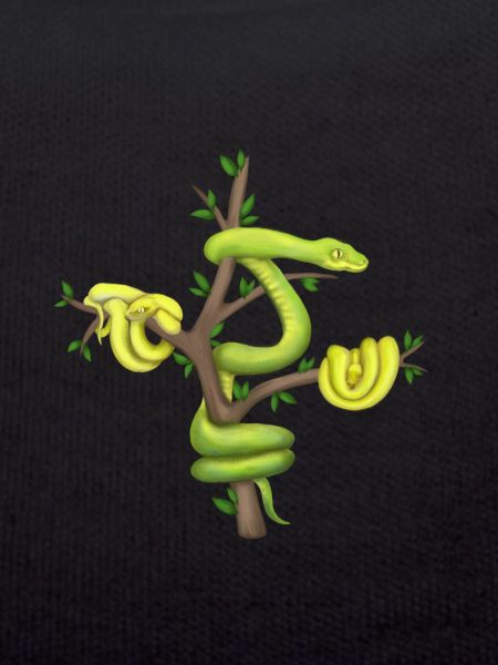 Der Grüne Python - Baumpython