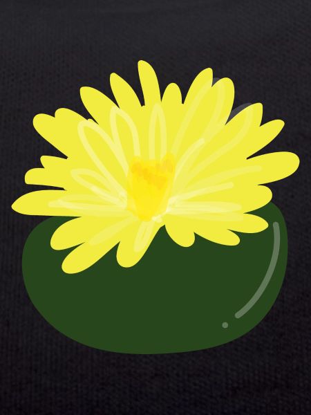 Fleur de Lithops1