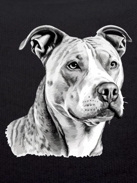 Jack the pit bull