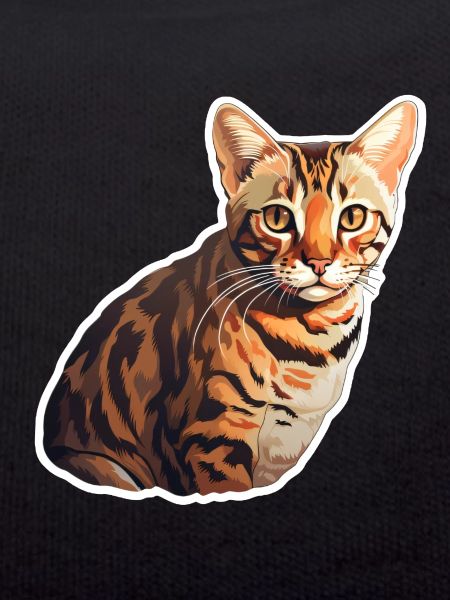 Chat Bengali