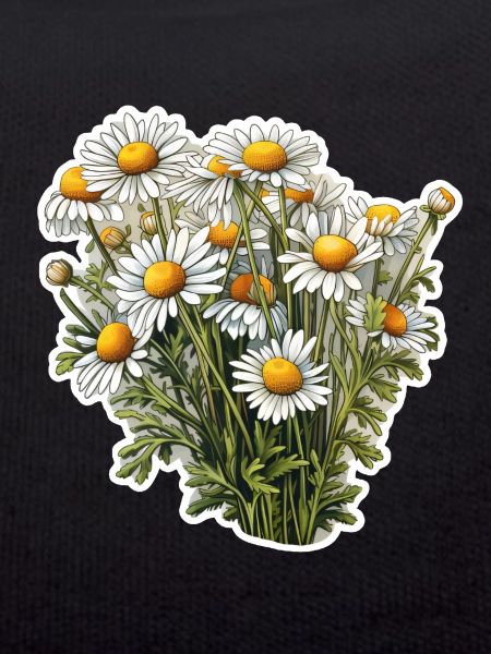 Chamomile bush
