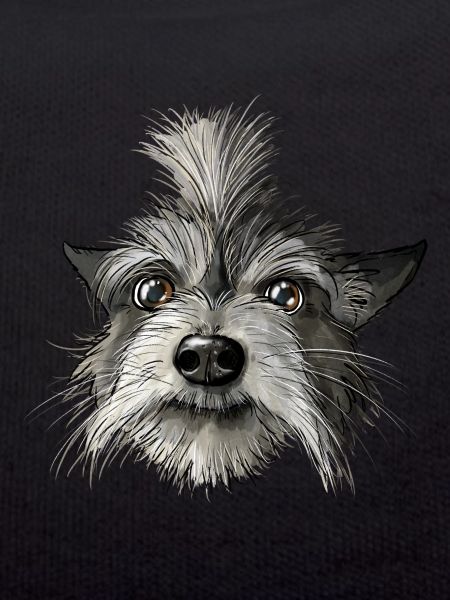Felix