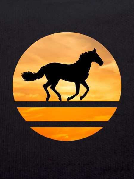 Horse Circle