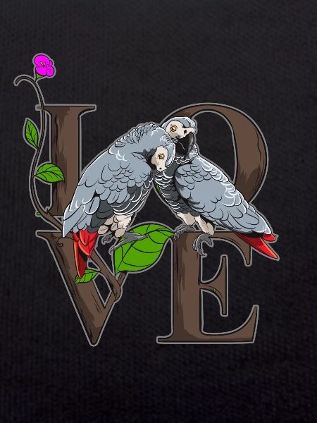 gray parrot