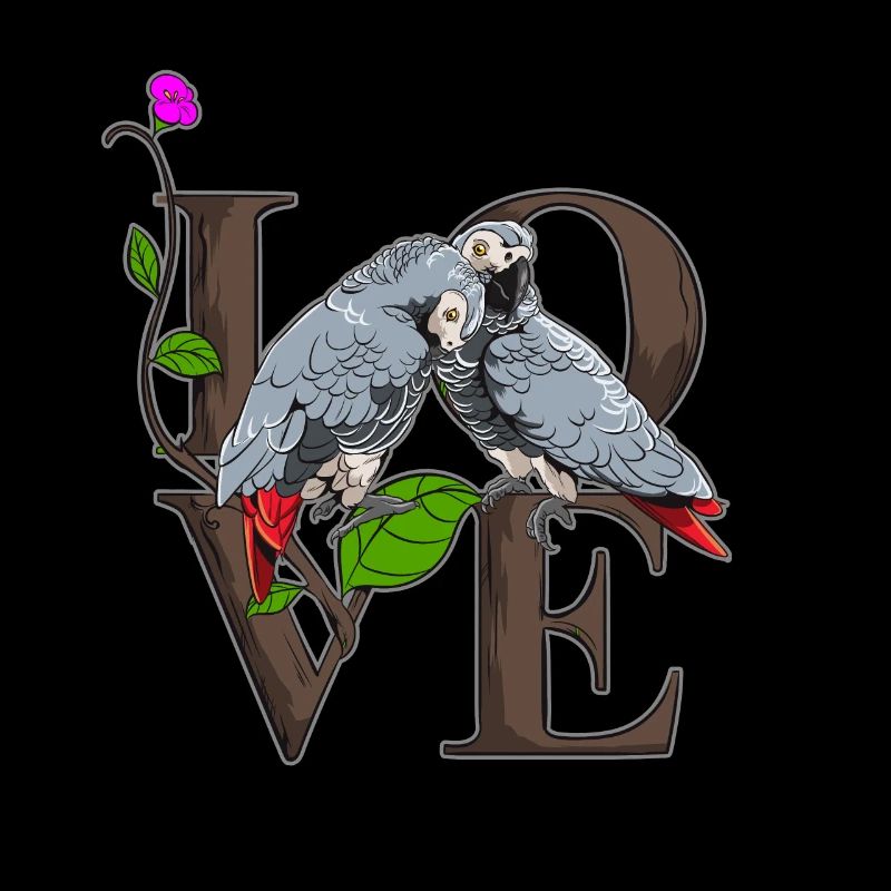 perroquet gris