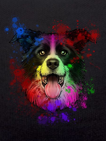 Australian Shepherd