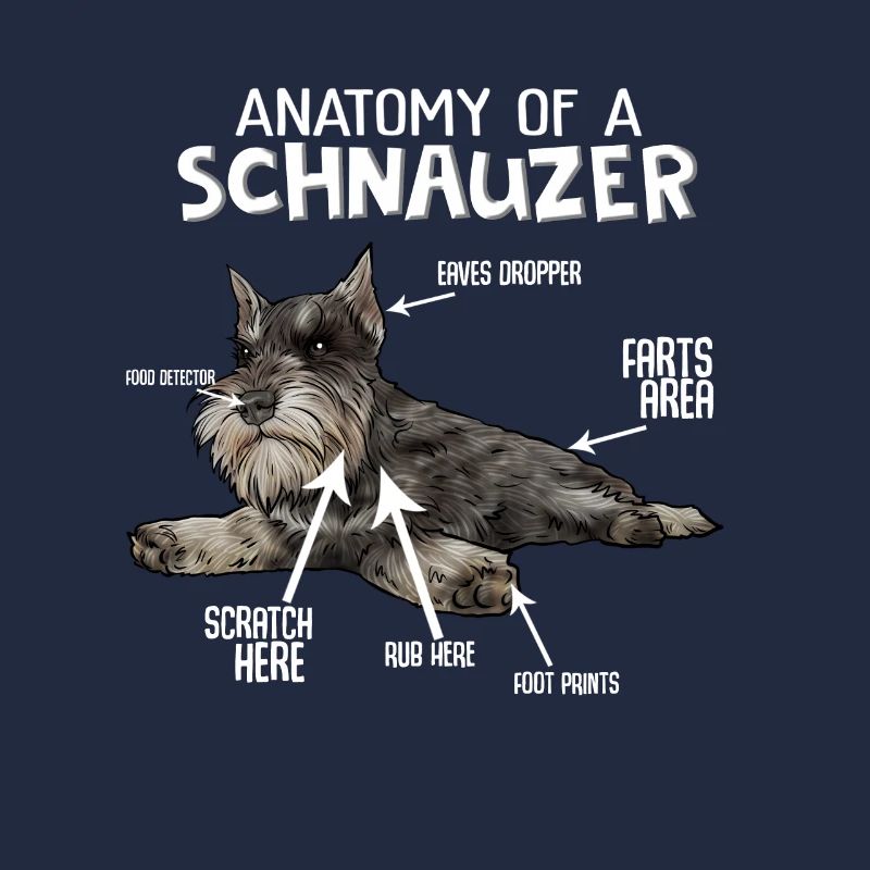 Schnauzer chien schnauzer géant