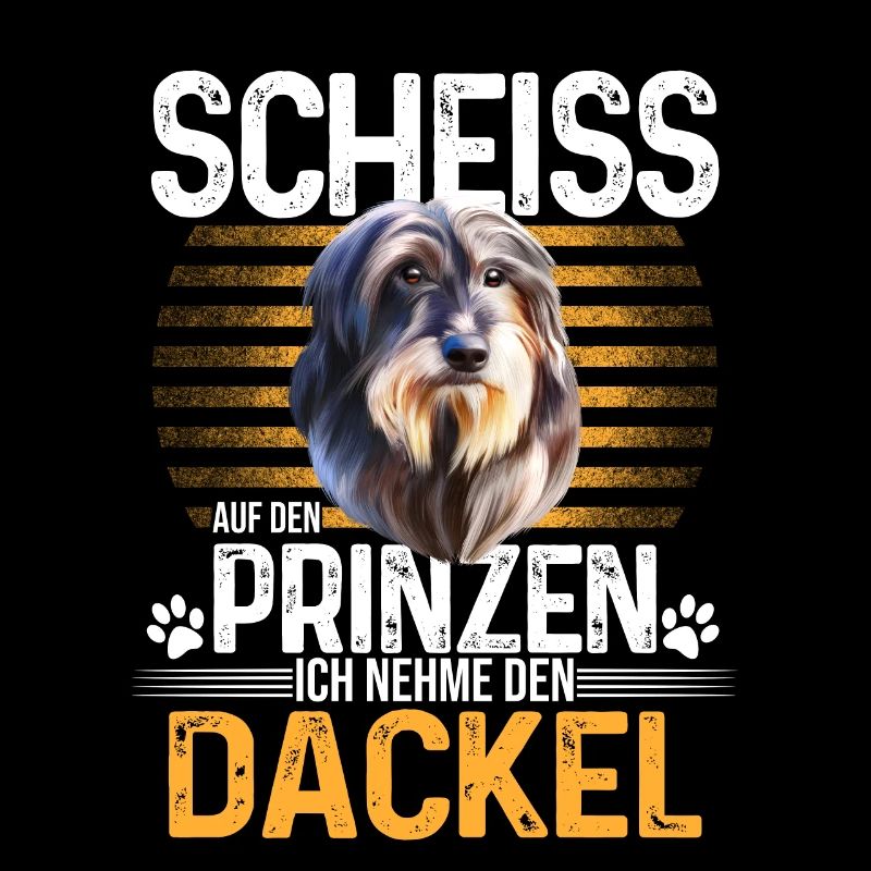 Dackel Dachshund Rauhaardackel