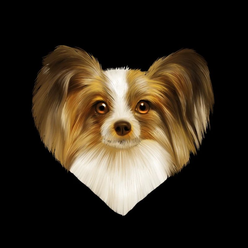 Portrait de chien Papillon