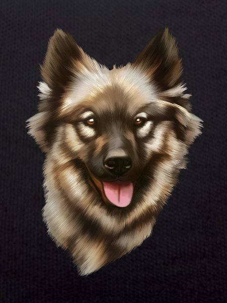 Eurasian dog