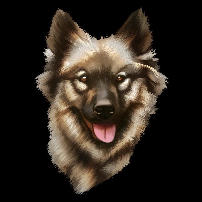 Eurasian dog