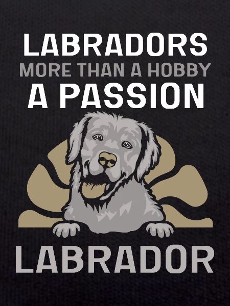 Labrador