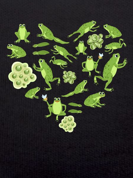 Herz Frosch