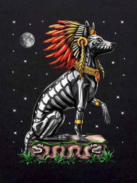 Aztec Xolo Dog