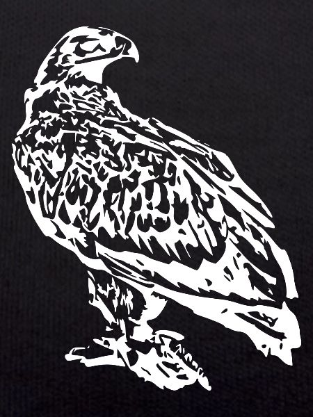 Hawk Bird White Birds