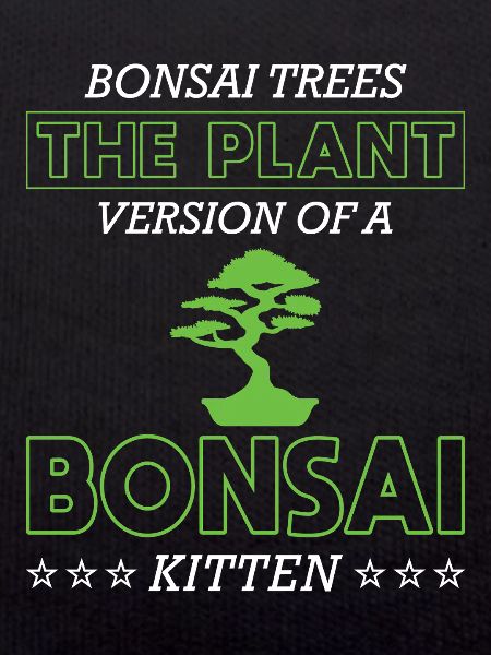Bonsai Tree