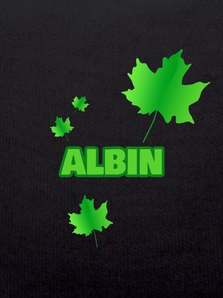 Gift for Albin