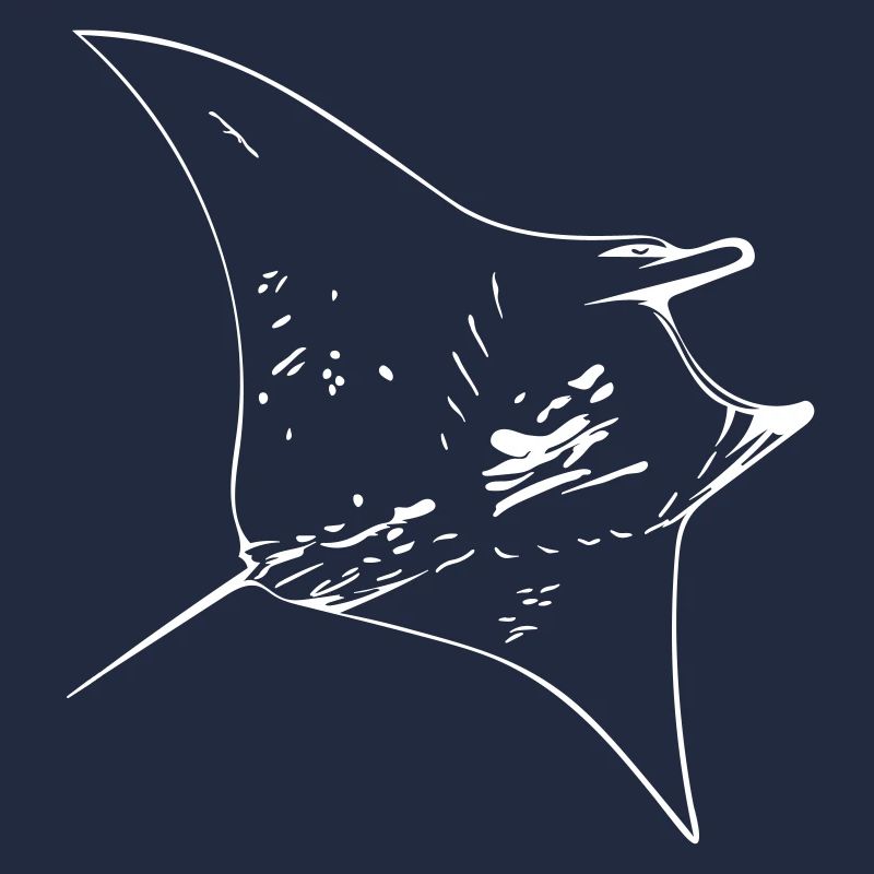 Manta Ray