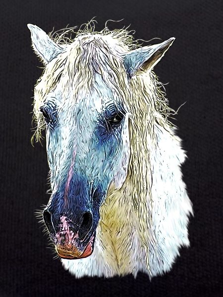 camargue horse