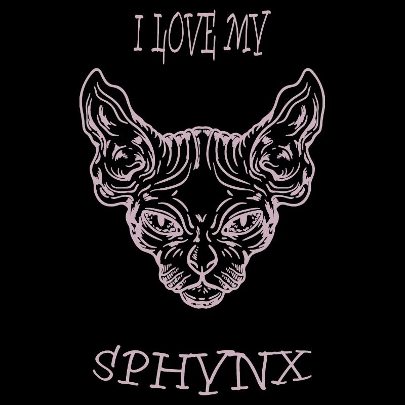 Nacktkatze Sphynx Katze