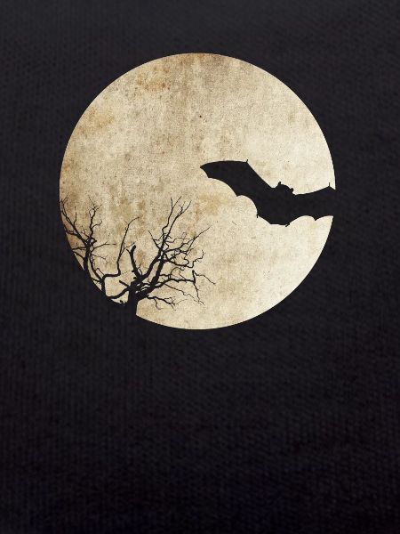 Bat night