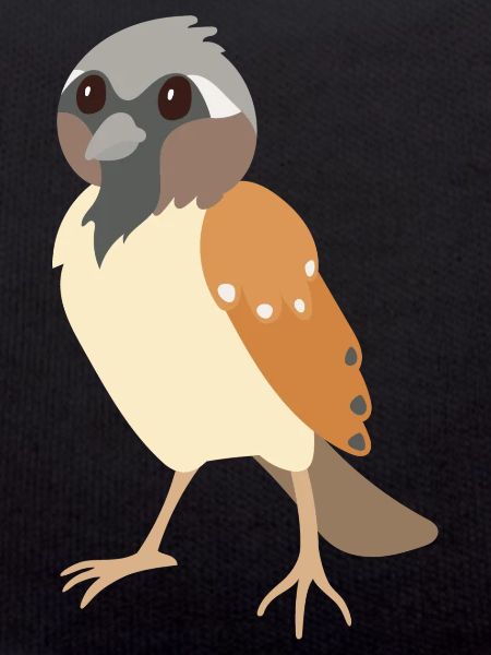 sparrow