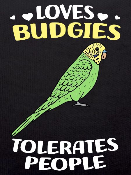 Budgerigar Bird