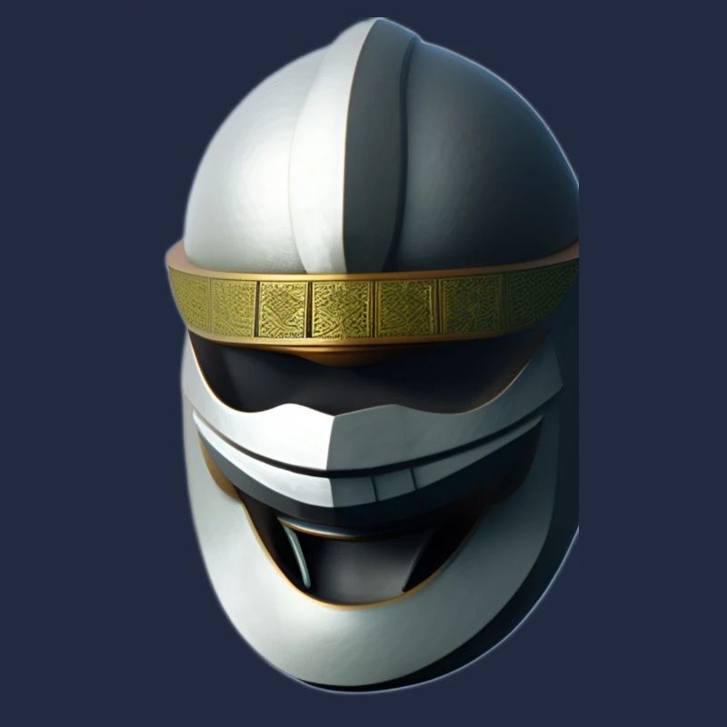 Ninjas warriors