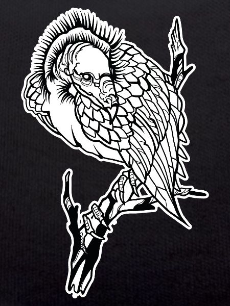 Vulture // Illustration