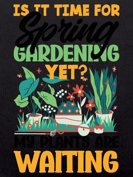 Mes plantes attendent le jardinier