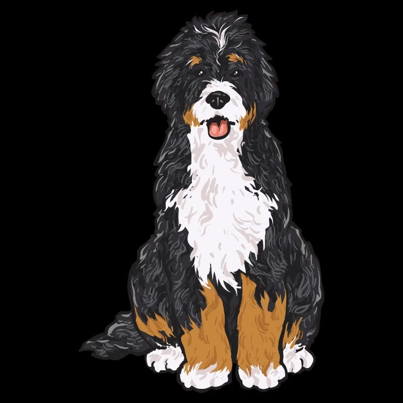 Bernedoodle Hund