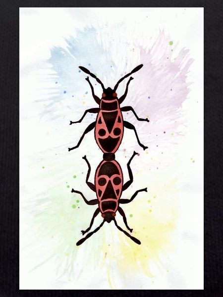 Firebugs