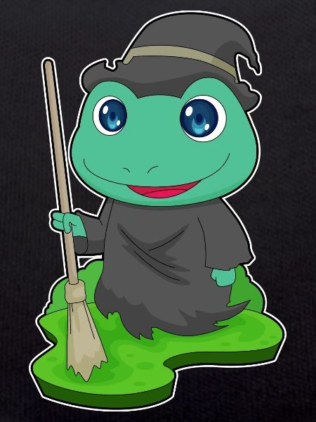 Frog Witch Broom