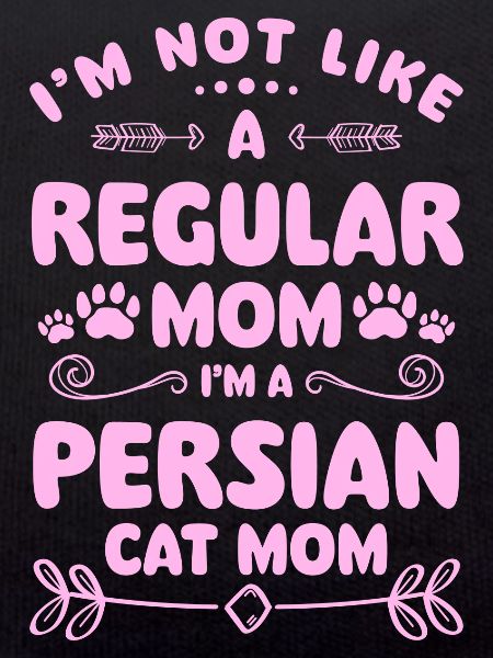 Persian Cat Cat Lover