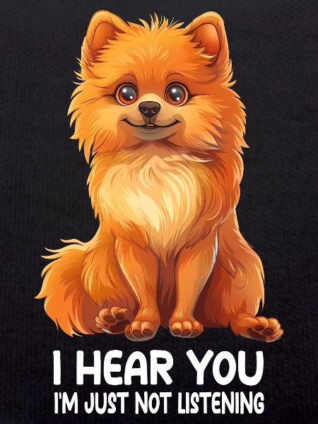 Dwarf spitz