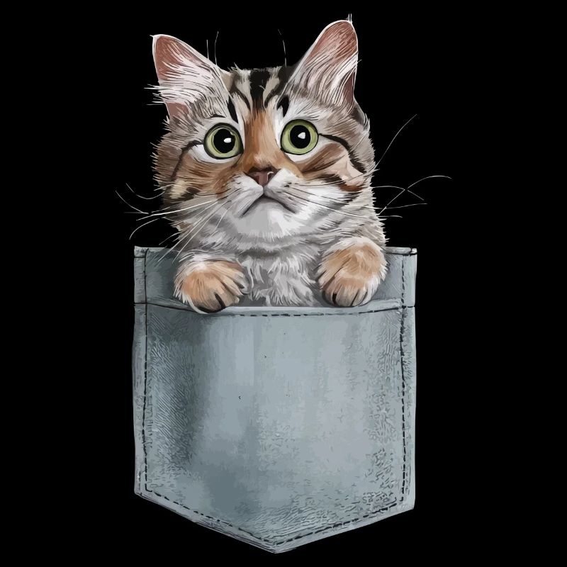 Burmesische Katze in der Tasche Geschenk