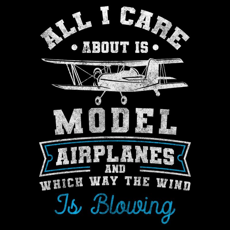 Maquette d’avion Loisir Voltige Voler