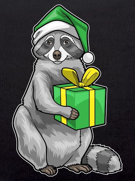 Raccoon Christmas Package