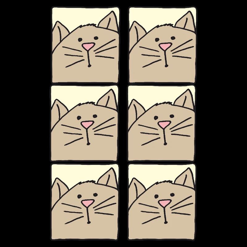 Cat pictures