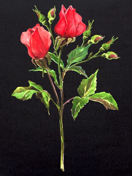 Blumen