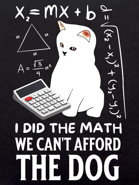Humorous Cat Math Design