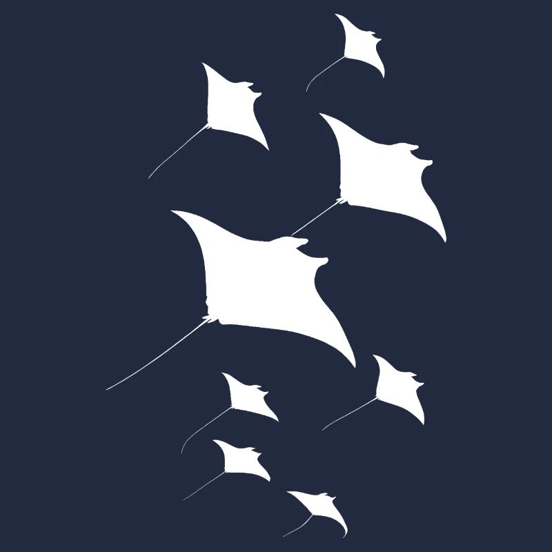 Manta Ray, Devil Ray, Stingray, Diver