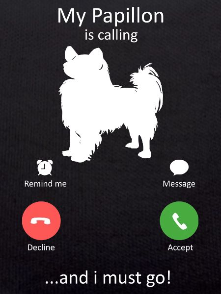 Papillon Dog Calling Smartphone Interface