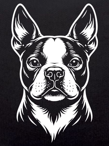 Tête de Boston Terrier