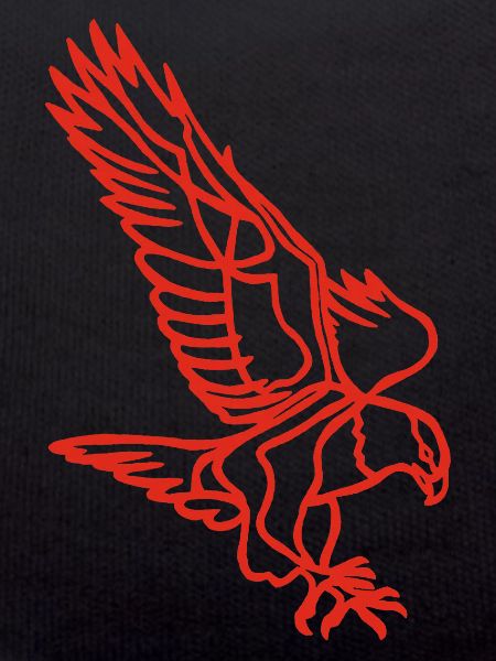 Red eagle in flight