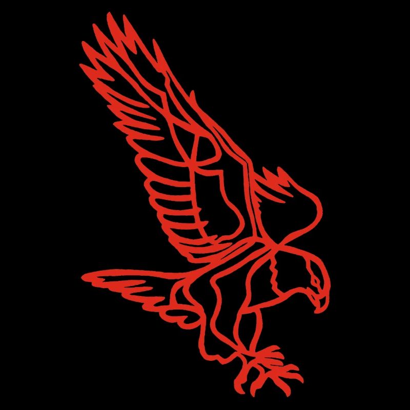 Red eagle in flight