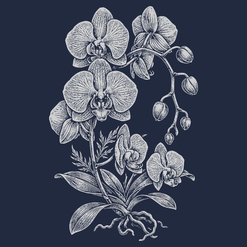 Orchidée Linework Silk Floral