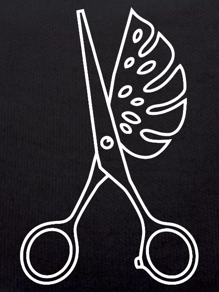 Scissors & Monstera